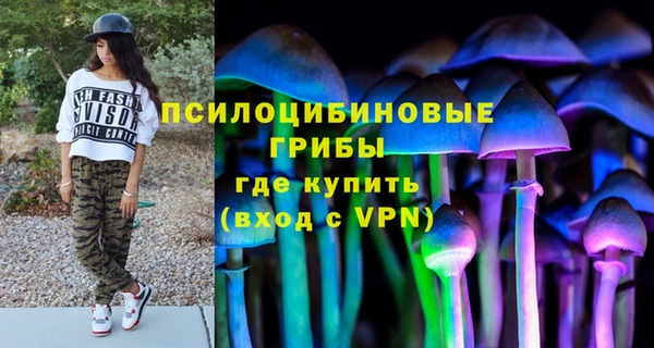 прущая мука Белокуриха